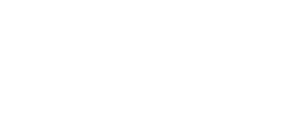 Armoured Annies Shop